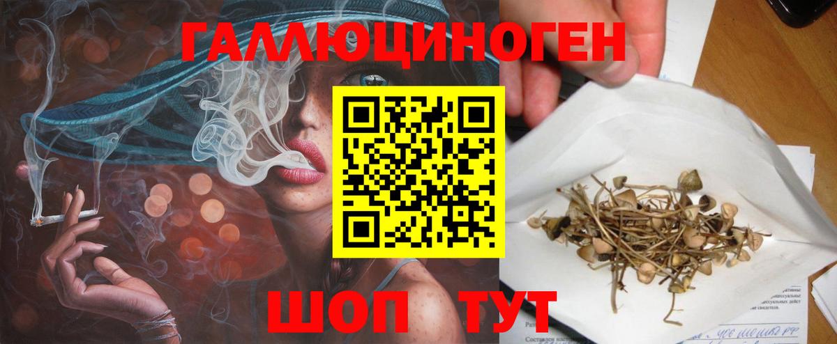 Псилоцибиновые грибы GOLDEN TEACHER  как найти закладки  Домодедово  Псилоцибиновые грибы Cubensis  Вход с VPN 